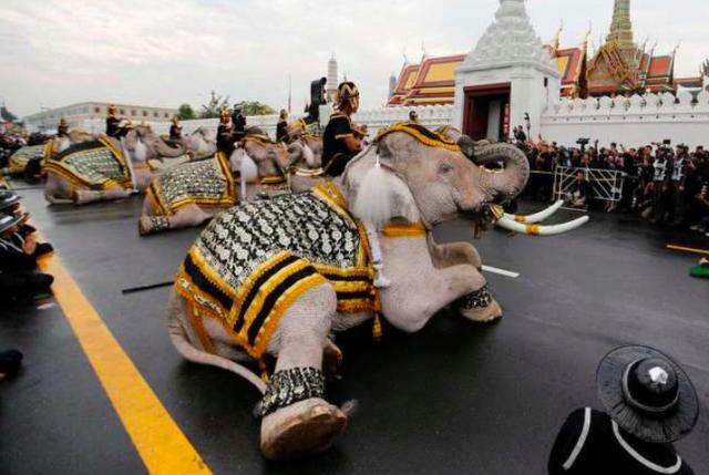 路遇泰国国王出行,当地人已经跪着,中国游客要怎么操作?
