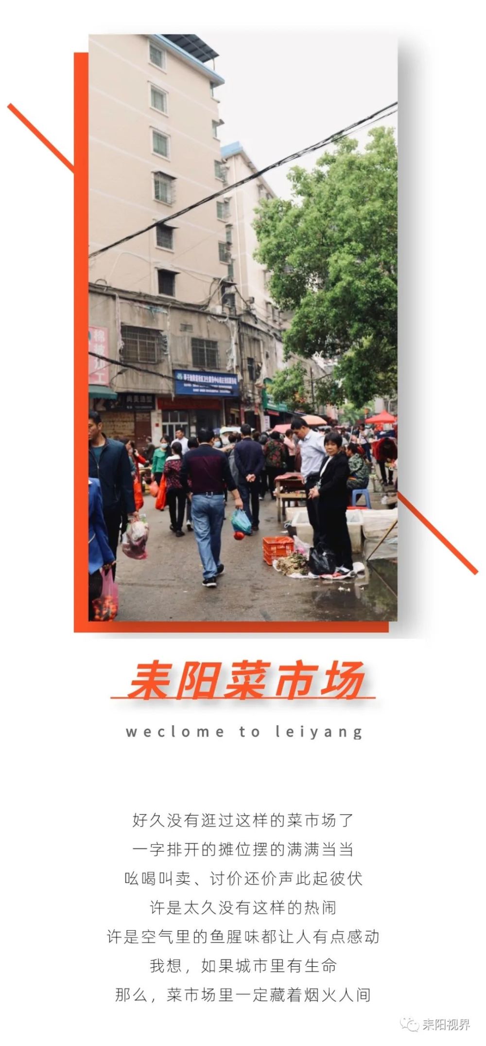 蔬菜批发一手货源在哪里找耒阳