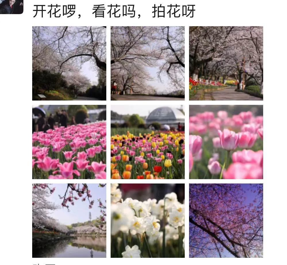 长沙3月最新赏花地图_腾讯新闻