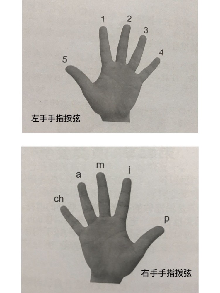 吉他左右手指名称