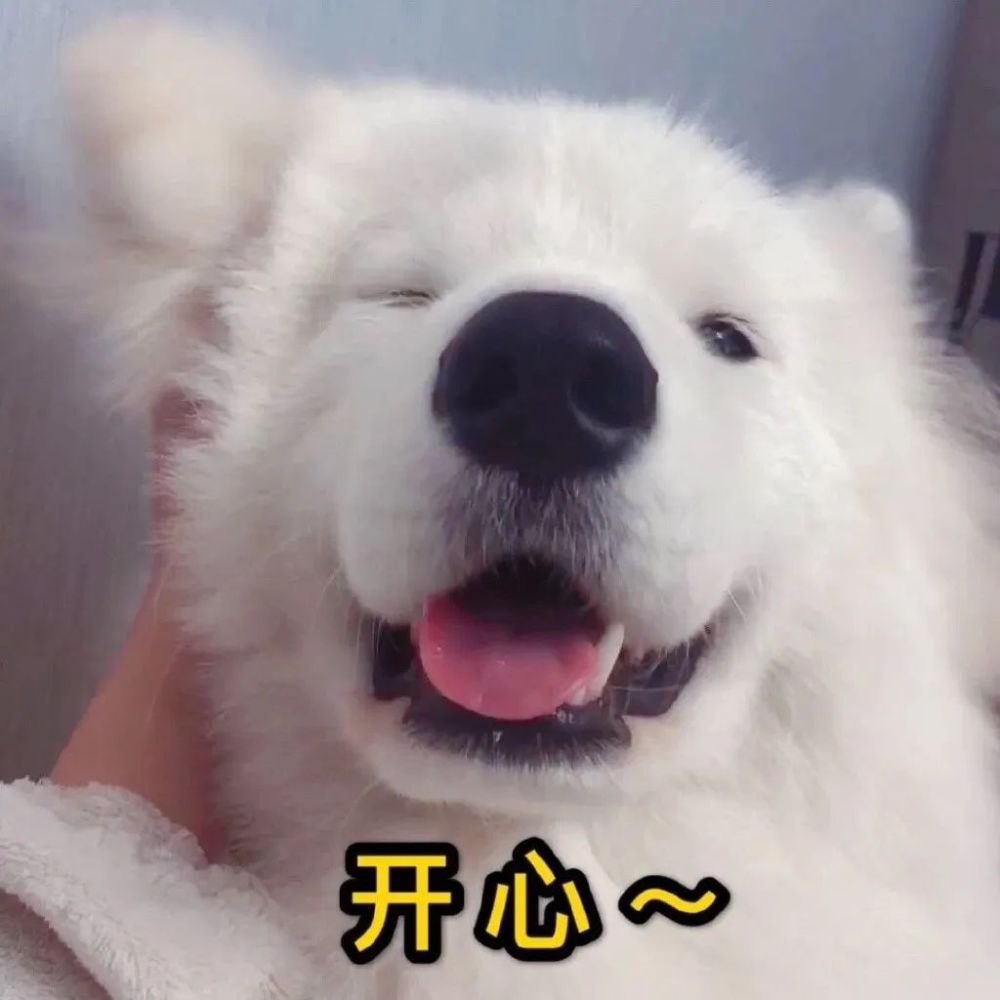 大哥,你消消气!