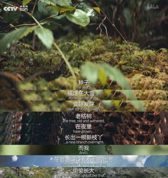 9.2分纪录片《人生第一次》:无数个"第一次",你可曾尽力?