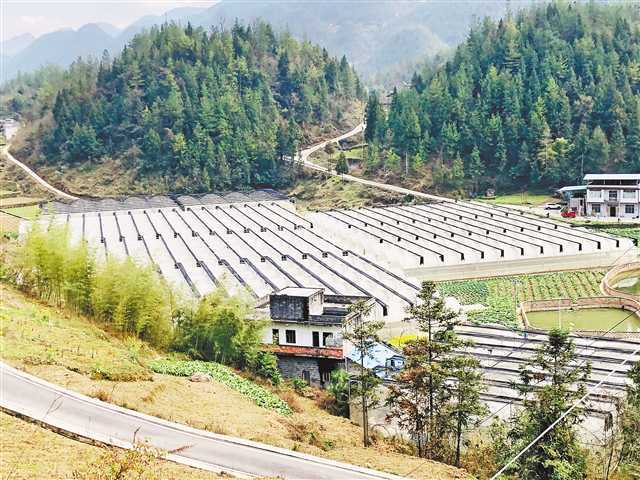 致富牛人李良华_致富经牛_致富牛人四川乡村