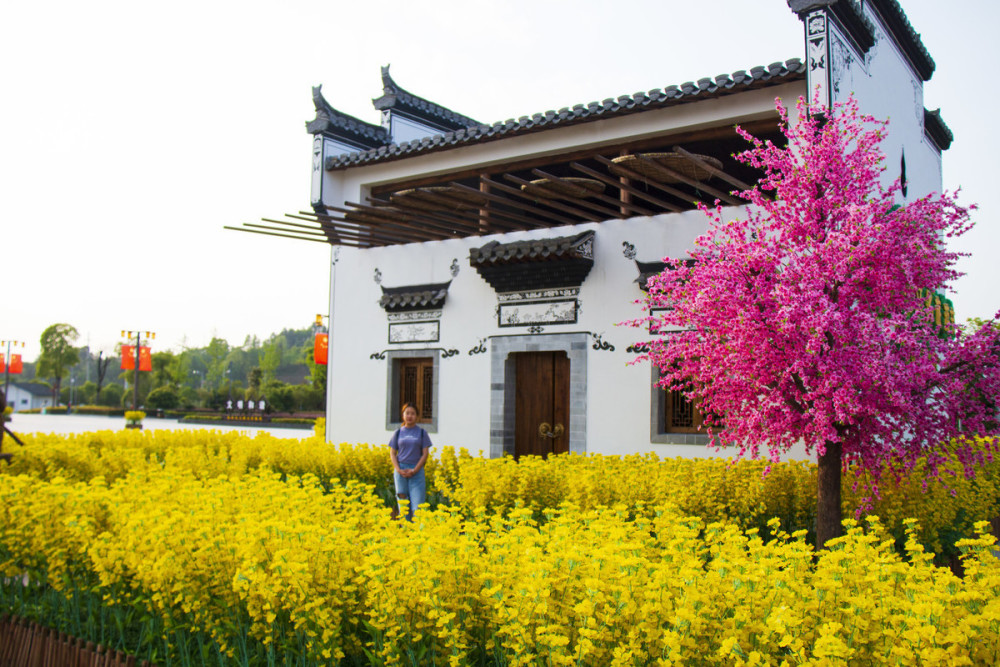 江西婺源赏油菜花