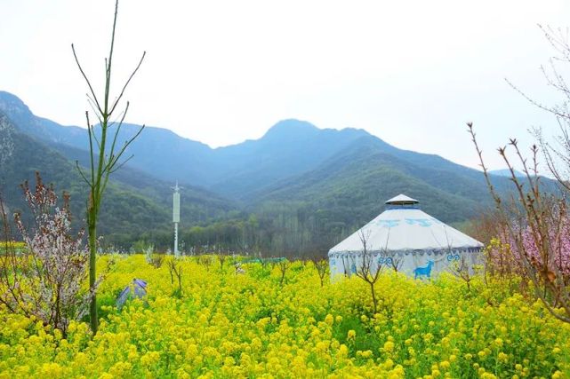 大熊山仙人谷景区开始迎客，待你来赏春！