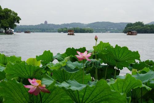 有故事,有风景,却无人问津,西湖边最容易错过的景点之