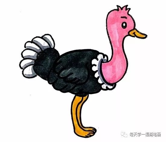 每天学一幅简笔画--鸵鸟简笔画画法步骤图片