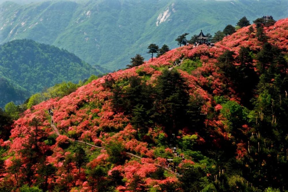 麻城·龟峰山景区