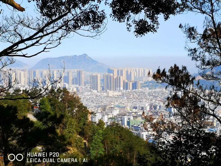 霞浦的春天美如画塔岗山