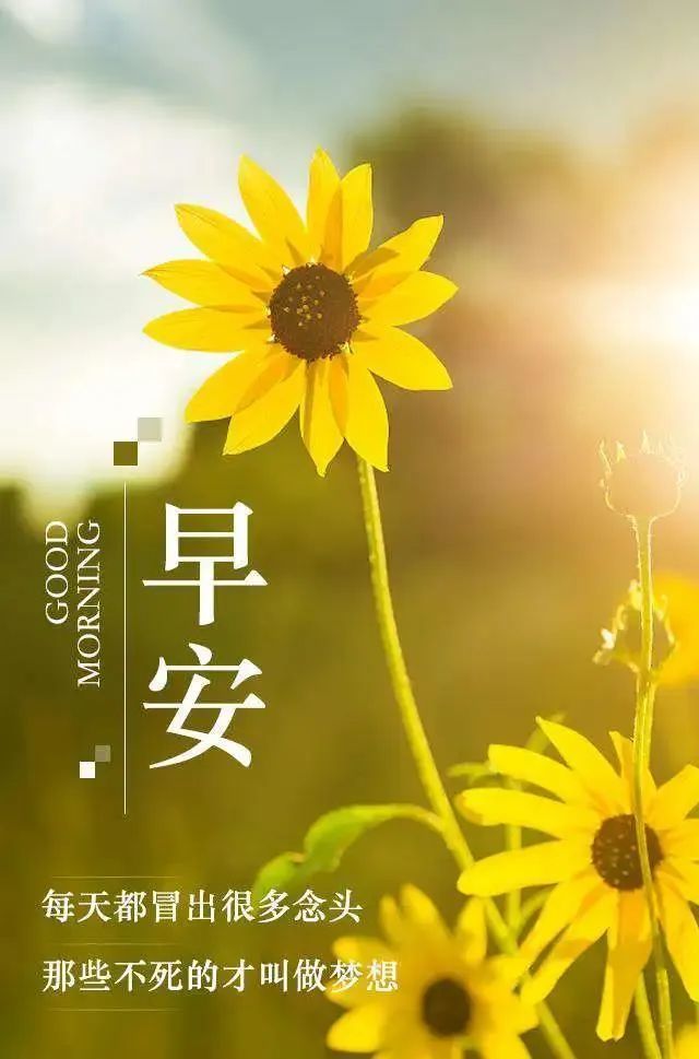 给自己一个微笑,种下一天的阳光!