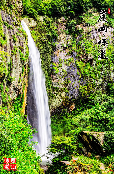 庐山旅游:历史悠久文化底蕴深厚的庐山瀑布群