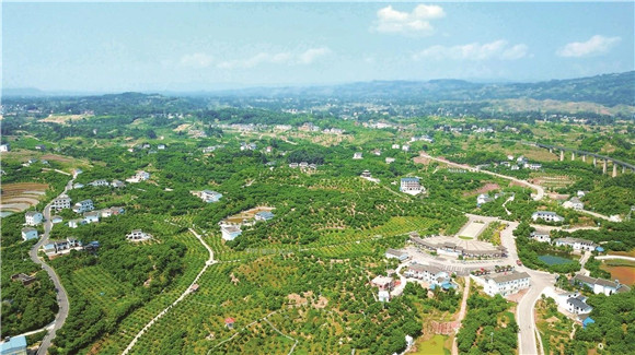 梁平柚海景区获评国家aaa级旅游景区 游客可下月前往赏柚花