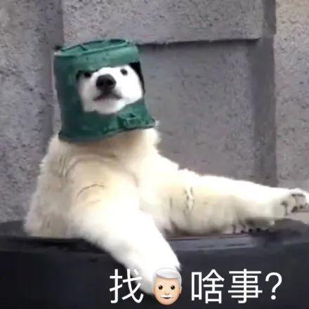表情包·小腿一蹬 与世无争
