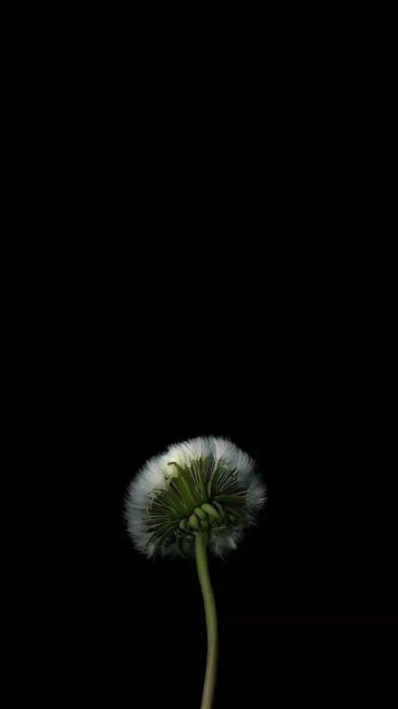 暗色壁纸 腾讯网