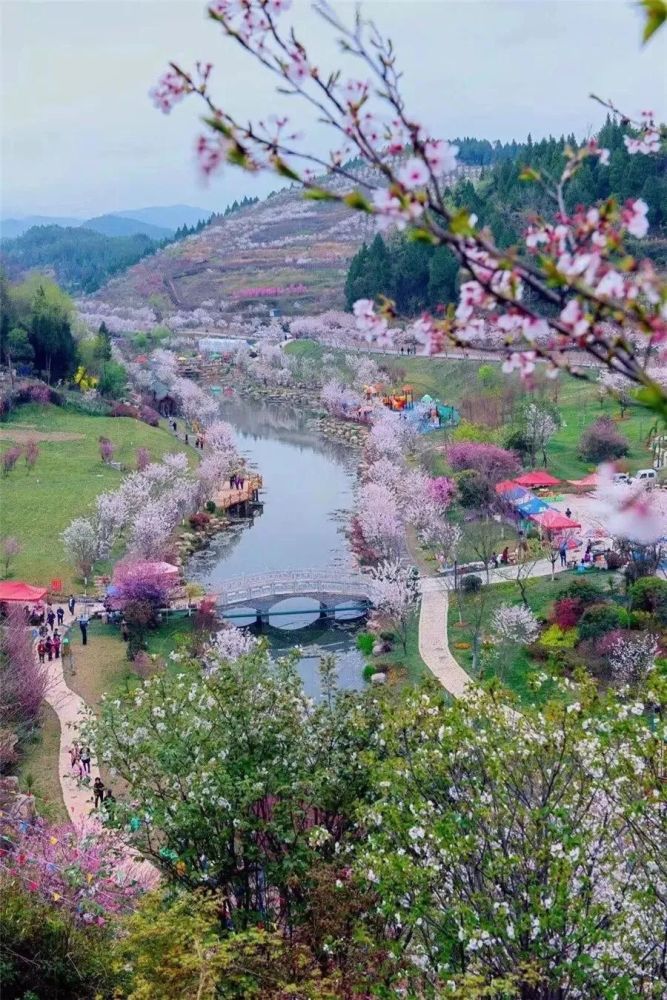 位于遵义市新蒲新区空港新城樱花大道旁,是依托原有山地地形,错落有