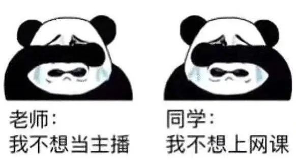 老师崩溃 1,爹妈崩溃 10086…… 每天都有一堆来自灵魂深处的拷问