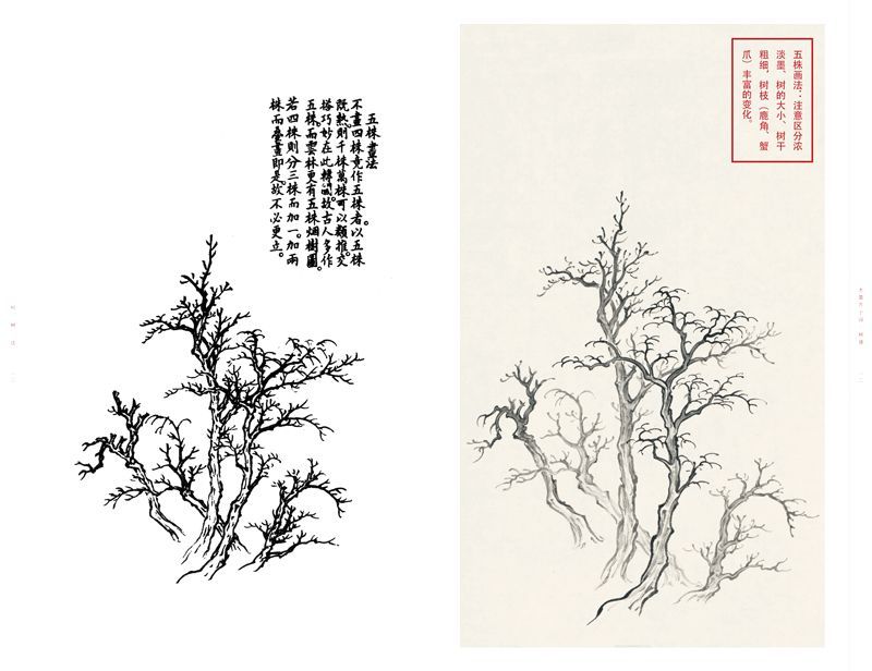 鹿角枝画法:树枝呈上扬角度生长,形似鹿角.