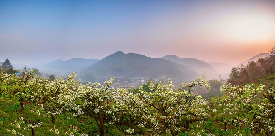 新津最佳商业配套居住地,毗邻奥特莱斯,坐望梨花溪,买