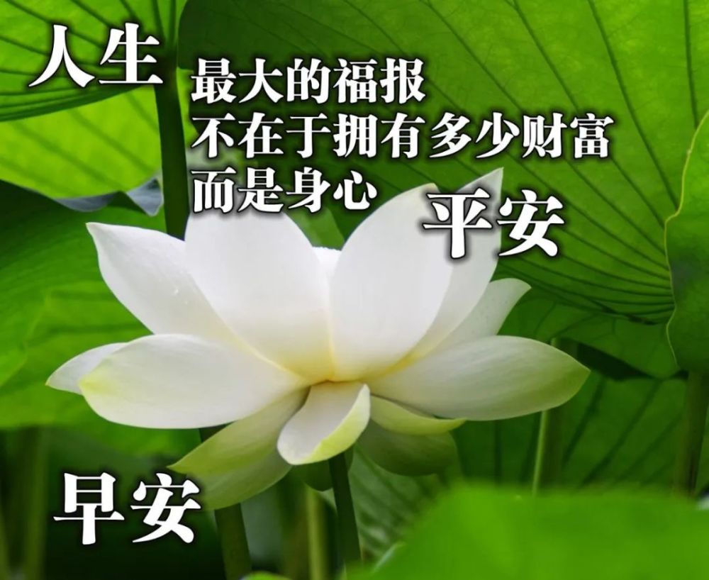 4月最后一天清晨早上好问候祝福动态表情图片 早安问候动态图片表情