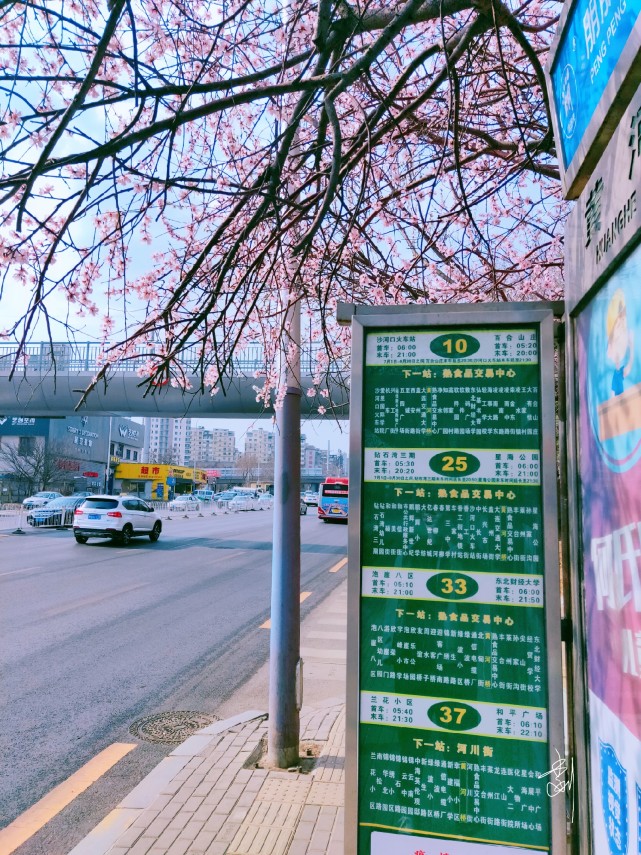 大连最美公交车站——黄河桥站