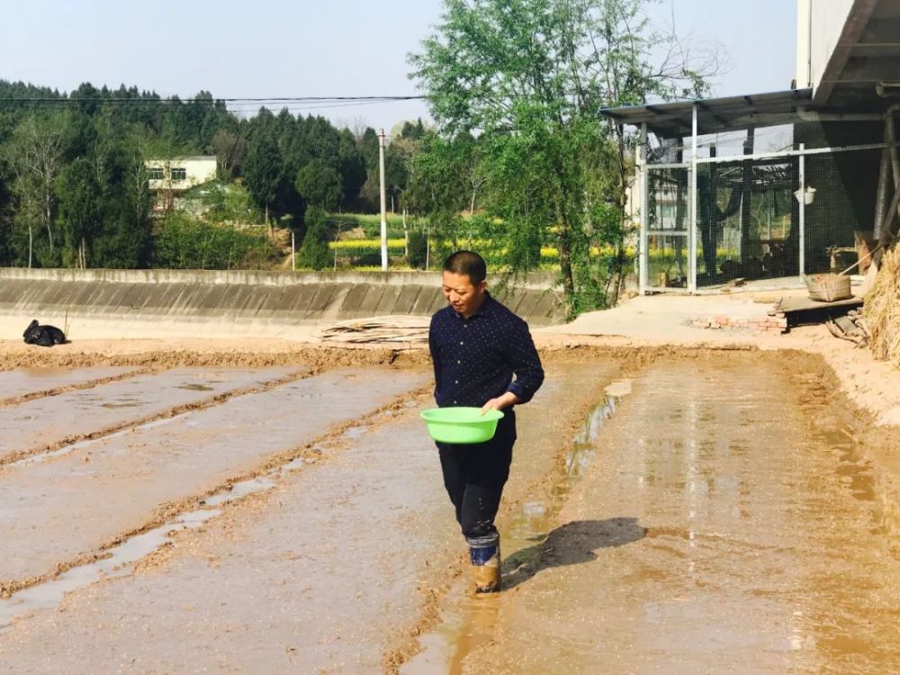 赵西海家住梓潼县黎雅镇清平村,这几天正在田间忙碌.