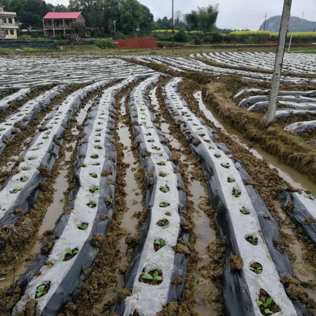 湖南邵阳县塘渡口的一个gdp_湖南邵阳县沉船事故搜救工作继续