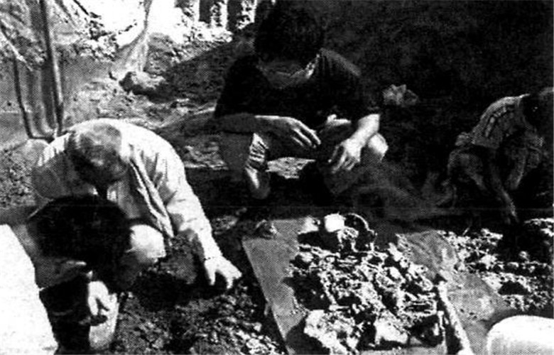 19世纪50年代,李鸿章尸骨被挖出并游街示众,因他是卖国贼?