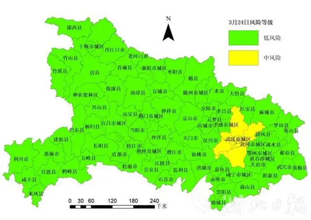 开年武汉对外来人口疫情_2020年武汉人口柱状图