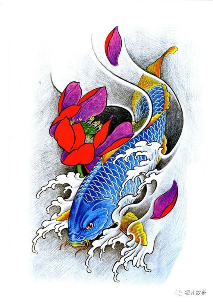鲤鱼纹身有吉祥的寓意!还因为鲤鱼跃龙门,给锦鲤添加!