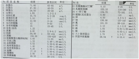 新发糖尿病并胰腺癌,该归于哪型?