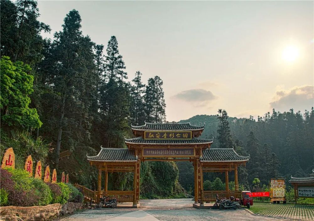 栈道起始点就在融安香杉公园大门左侧,在马路边就能看到蜿蜒盘旋在