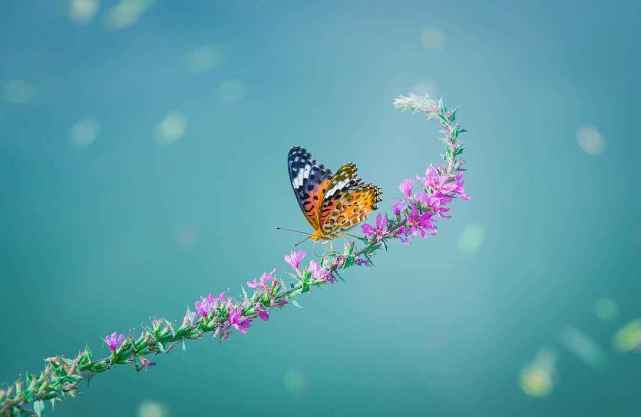 她在闹,你在笑也是不少夫妻所向往的相处方式.