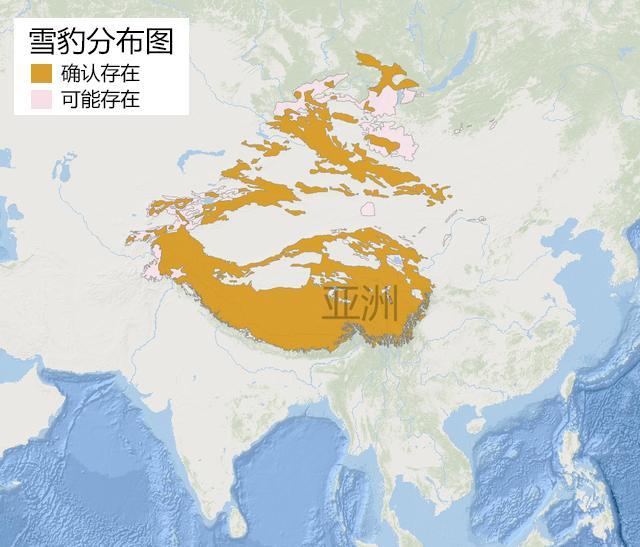 全球雪豹分布图