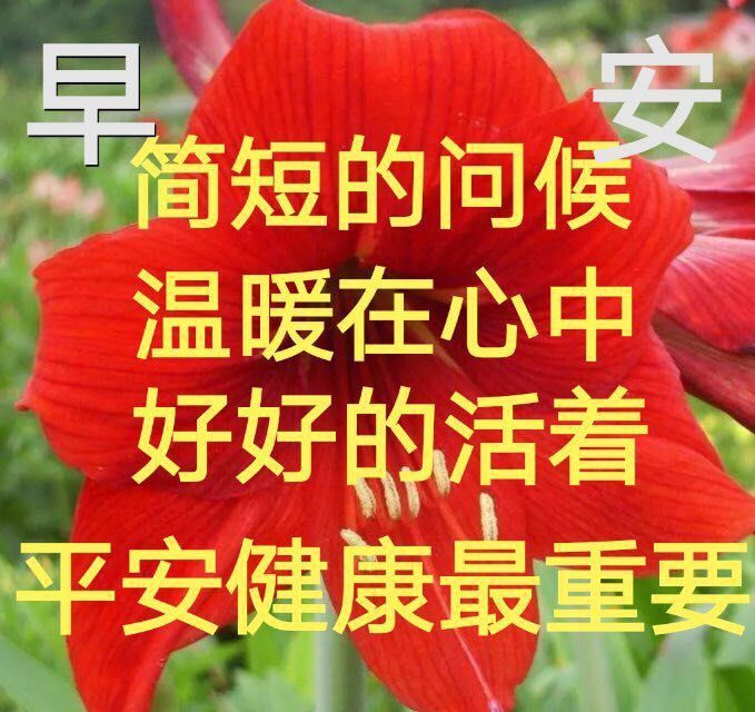 3月23日星期三最美早安问候图片周三早安祝福语唯美图片周三初夏暖心