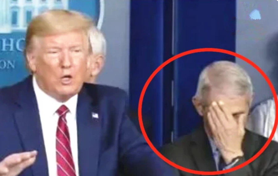 全美都在寻找他的身影