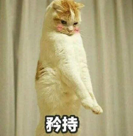 表情包:听说男生喜欢干净的女孩子,网友:有一种干净叫