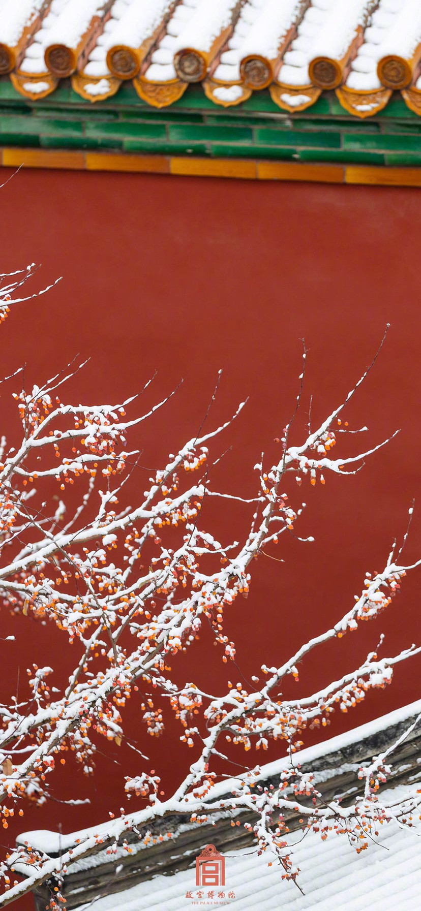 故宫雪景最美的是屋檐上的积雪红色大气磅礴的宫墙