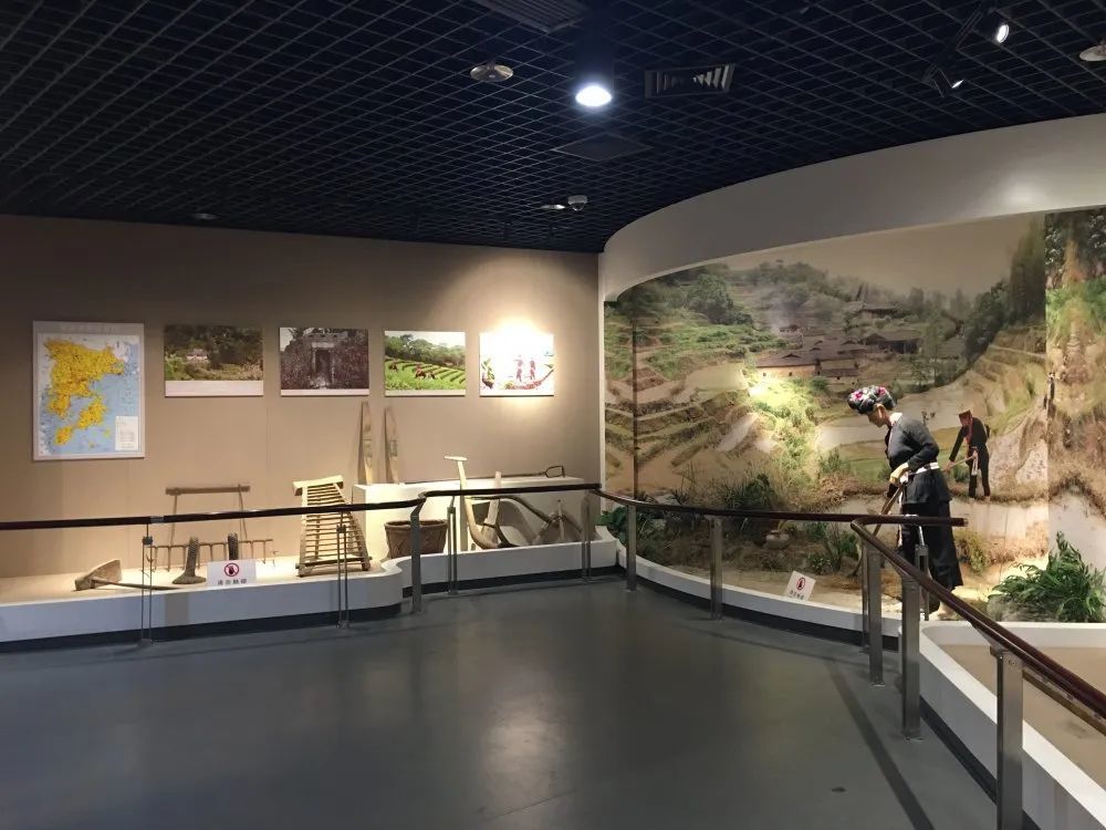 霞浦县博物馆历史遗风展厅