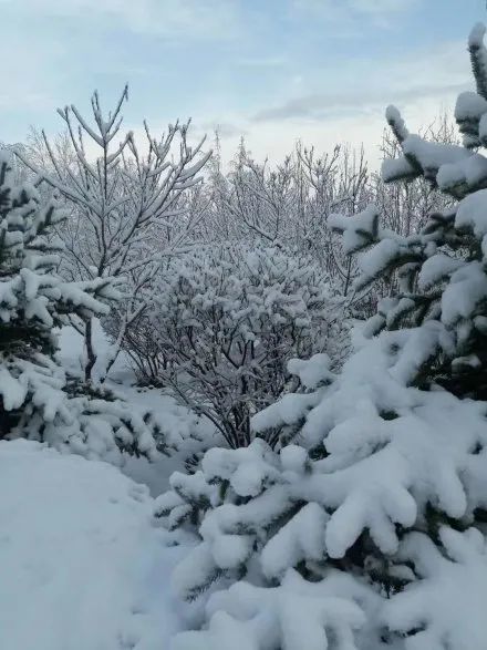 山西这里突降大雪!现场图片传来!