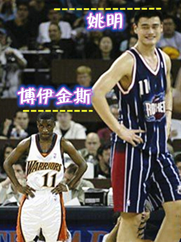 那些"奇葩身高差",姚明在博伊金斯面前成大山,诺天王"