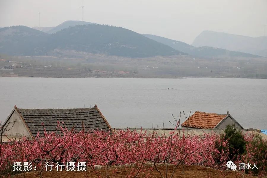 山上还新修了赏花水泥路,以后上踞龙山俯瞰龙湾湖欣赏美景将会变得很