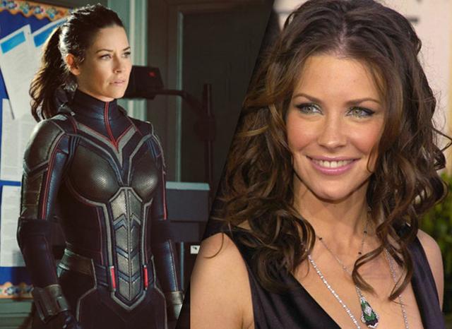 2015年,伊万杰琳·莉莉(evangeline lilly)在漫威电影《蚁人》中扮演