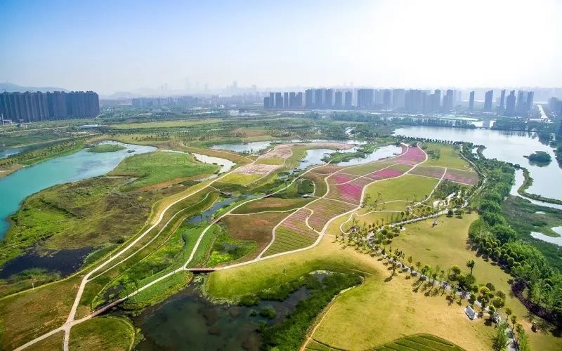 雅礼 麓山国际 长沙洋湖湿地!中海阅麓山pk深业鹭栖府