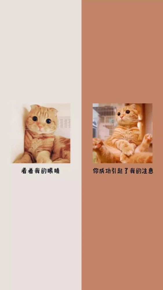 微信聊天背景分割图.