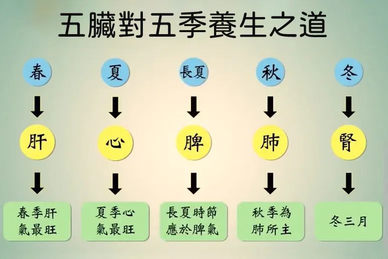 四季养生食不同,春吃绿夏吃红秋吃白冬吃黑!夏季早餐该怎么吃?