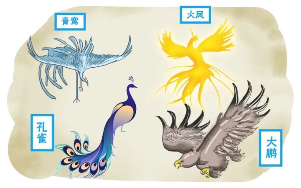 故事里面的主人公就是青鸾神鸟,也是九雏中为大家所知最多的神鸟.