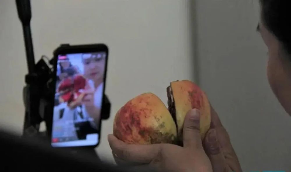 2020年柞水GDP_柞水溶洞(3)