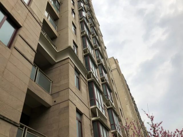 东苑古龙尚居小学为平南小学,初中是上海市实验学校西校.