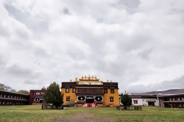 道孚景区恢复营业,参战医护人员终身免门票