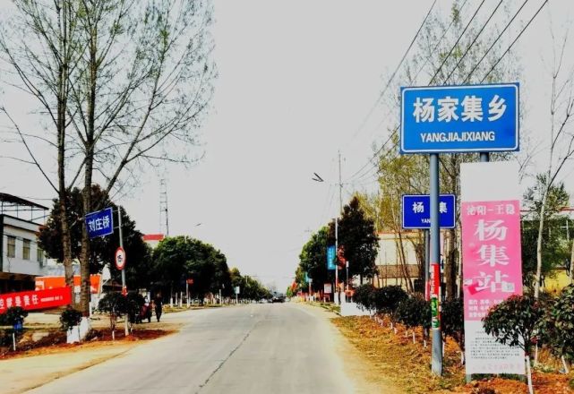走进泌阳八个国家森林乡村之六:杨家集镇王稳村,泌阳县城的后花园